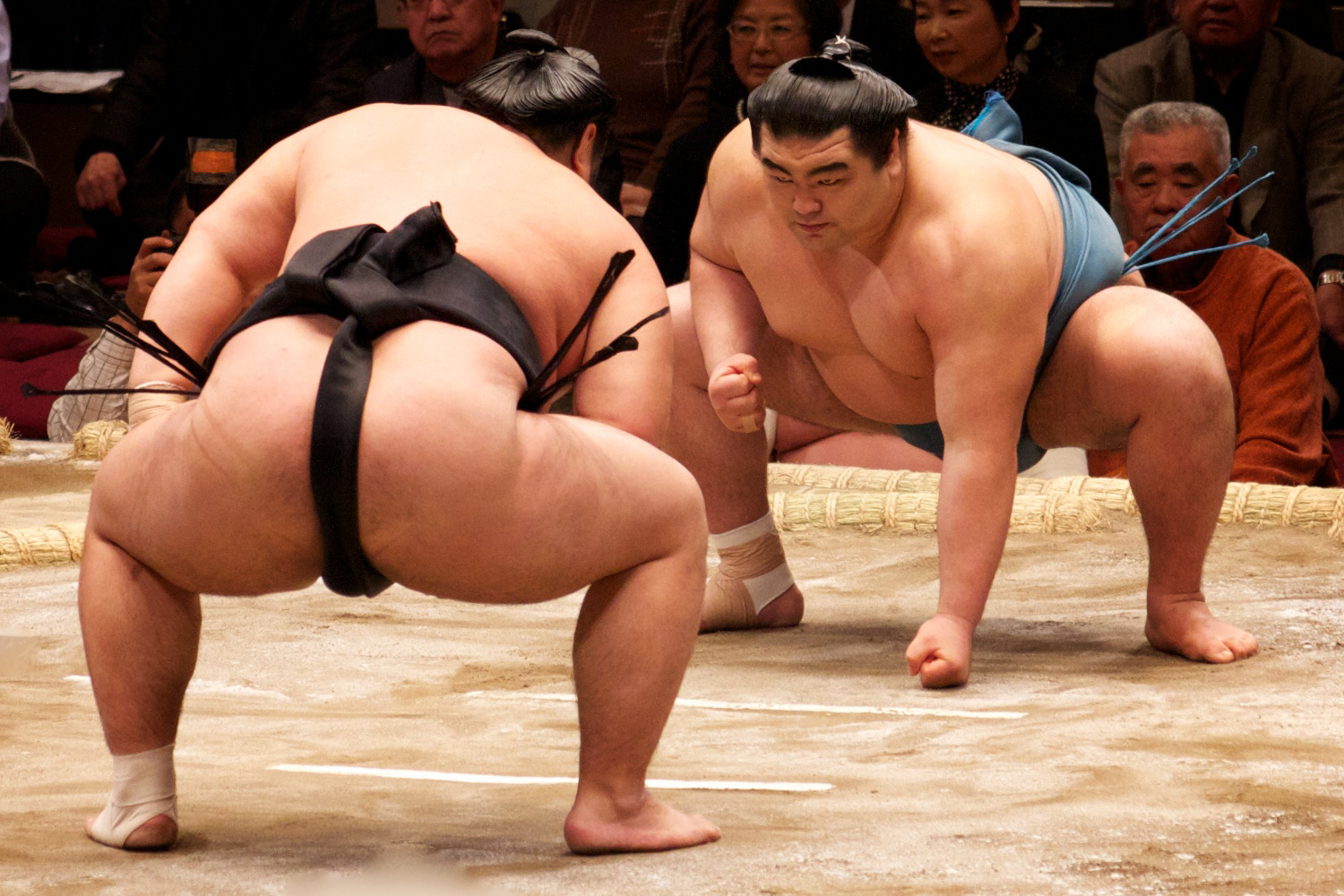 Sumo-Wrestling